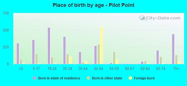 Place of birth by age -  Pilot Point
