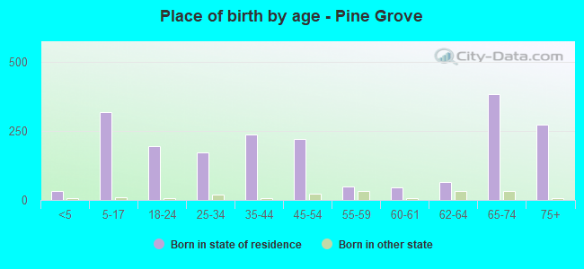Place of birth by age -  Pine Grove