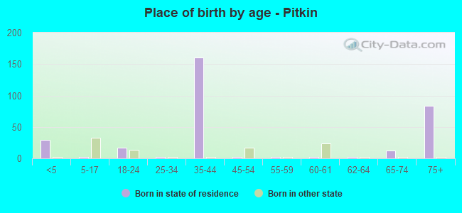 Place of birth by age -  Pitkin