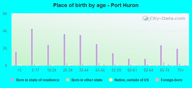 Place of birth by age -  Port Huron