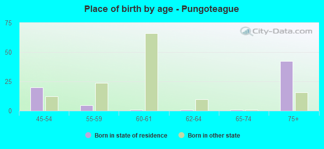 Place of birth by age -  Pungoteague