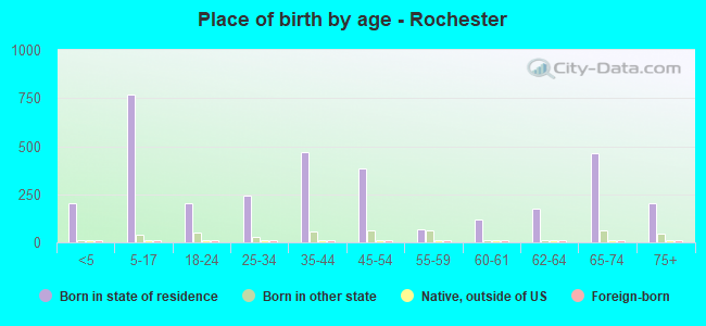 Place of birth by age -  Rochester