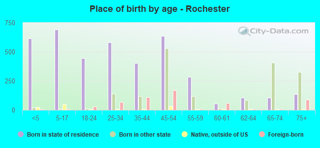 Place of birth by age -  Rochester