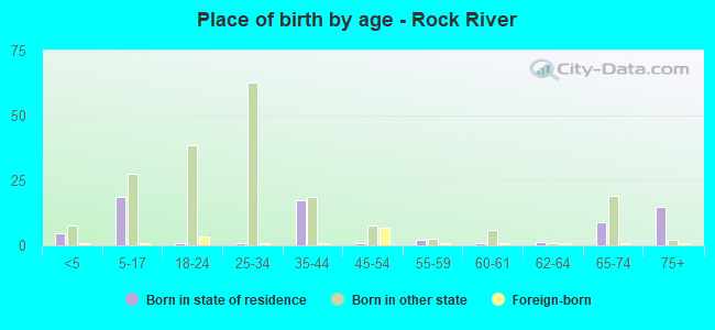 Place of birth by age -  Rock River