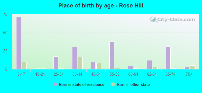 Place of birth by age -  Rose Hill
