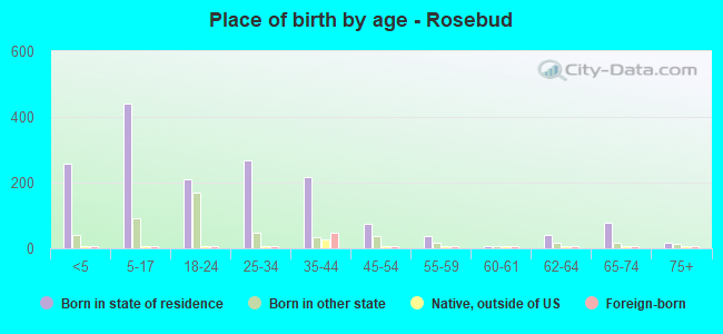 Place of birth by age -  Rosebud