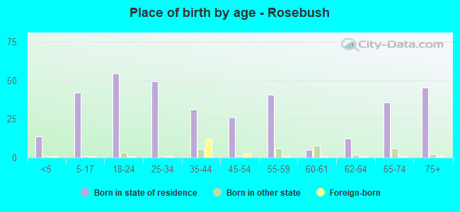 Place of birth by age -  Rosebush