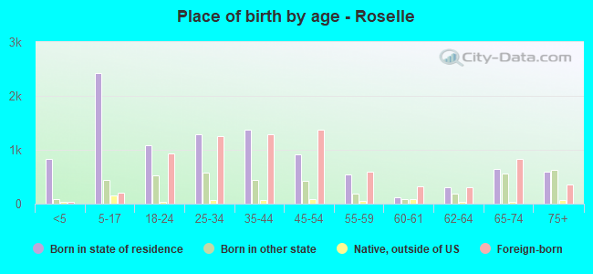 Place of birth by age -  Roselle