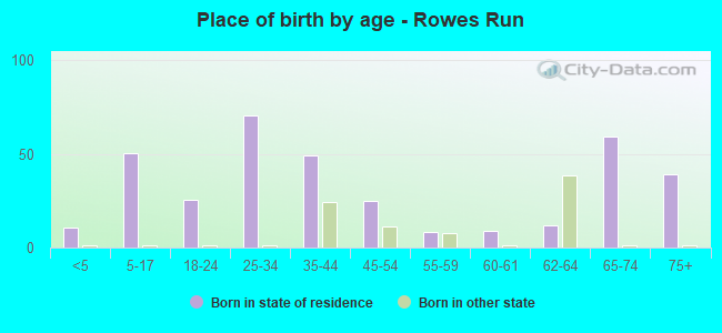 Place of birth by age -  Rowes Run
