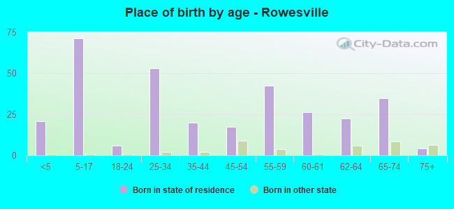 Place of birth by age -  Rowesville