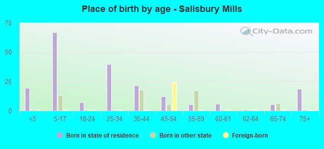 Place of birth by age -  Salisbury Mills