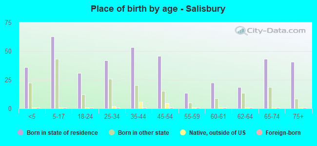 Place of birth by age -  Salisbury