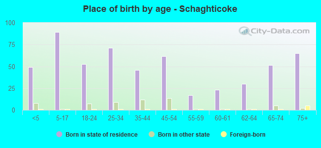 Place of birth by age -  Schaghticoke