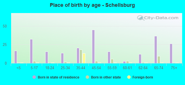 Place of birth by age -  Schellsburg