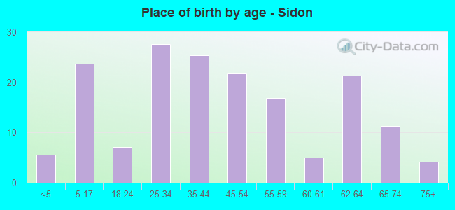 Place of birth by age -  Sidon