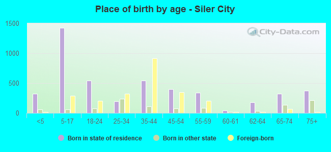 Place of birth by age -  Siler City