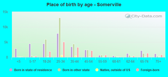 Place of birth by age -  Somerville