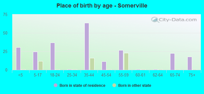 Place of birth by age -  Somerville