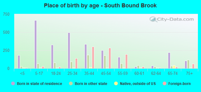 Place of birth by age -  South Bound Brook