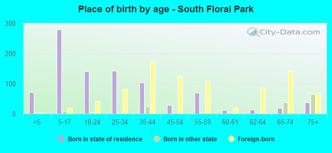 Place of birth by age -  South Floral Park