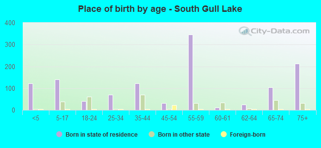 Place of birth by age -  South Gull Lake