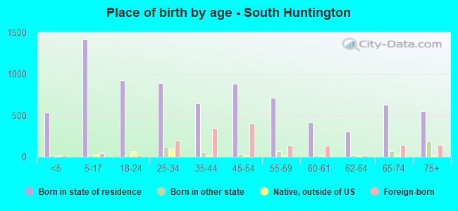 Place of birth by age -  South Huntington