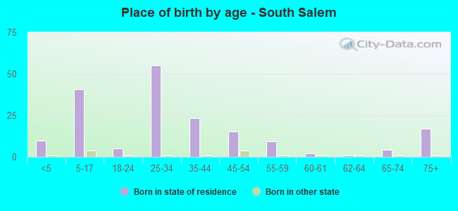 Place of birth by age -  South Salem
