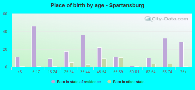 Place of birth by age -  Spartansburg