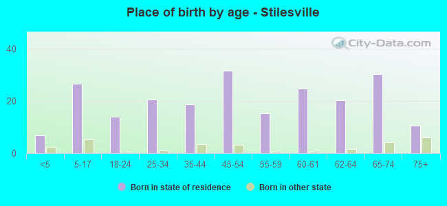 Place of birth by age -  Stilesville