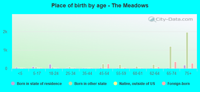 Place of birth by age -  The Meadows