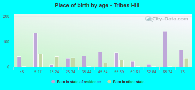 Place of birth by age -  Tribes Hill