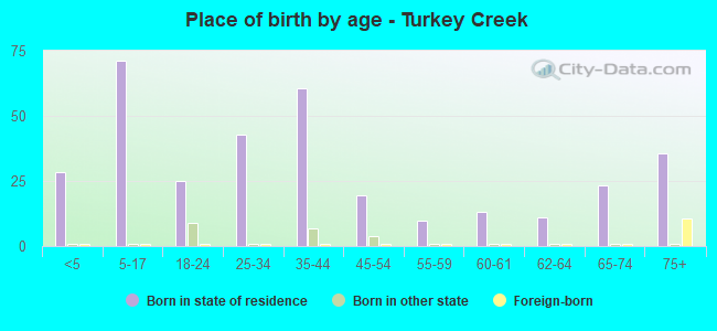 Place of birth by age -  Turkey Creek