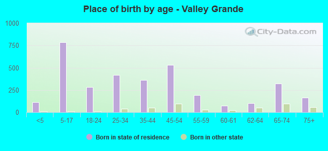Place of birth by age -  Valley Grande