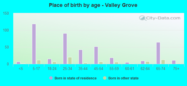 Place of birth by age -  Valley Grove