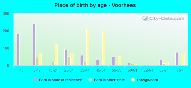Place of birth by age -  Voorhees