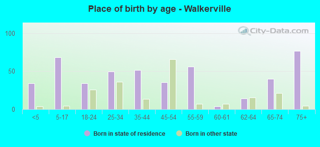 Place of birth by age -  Walkerville