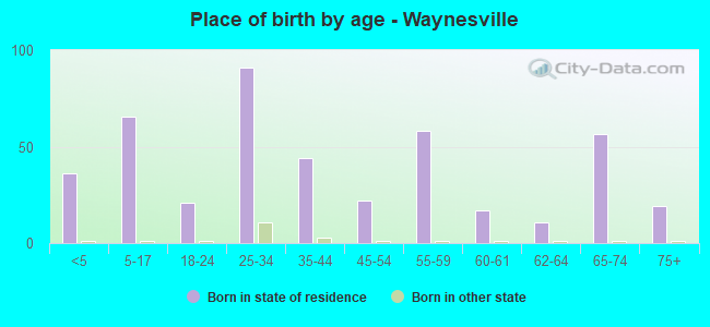 Place of birth by age -  Waynesville