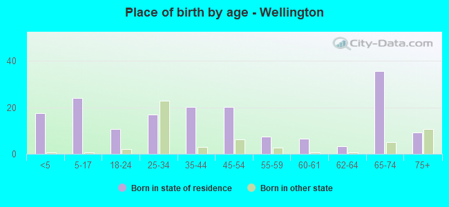 Place of birth by age -  Wellington