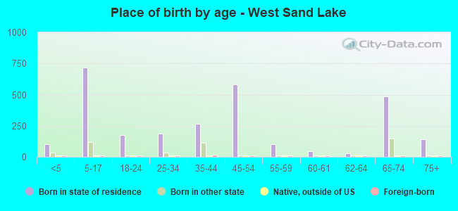 Place of birth by age -  West Sand Lake