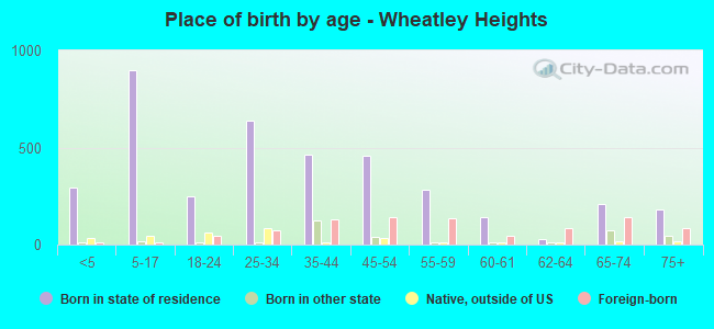 Place of birth by age -  Wheatley Heights