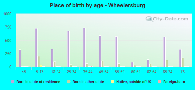 Place of birth by age -  Wheelersburg