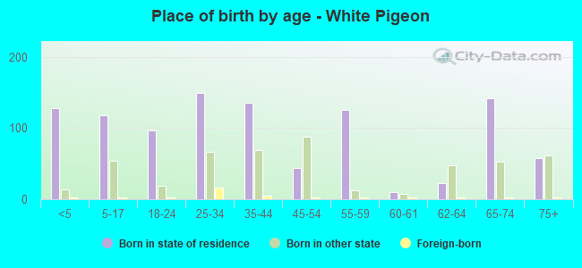 Place of birth by age -  White Pigeon