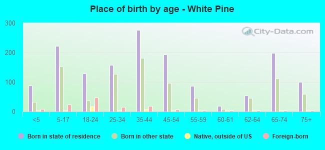 Place of birth by age -  White Pine