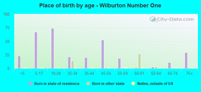 Place of birth by age -  Wilburton Number One