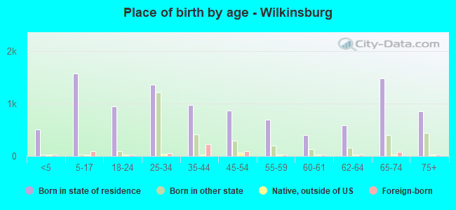 Place of birth by age -  Wilkinsburg