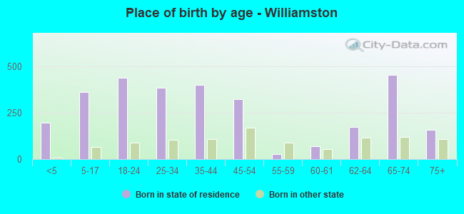 Place of birth by age -  Williamston