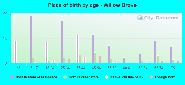 Place of birth by age -  Willow Grove