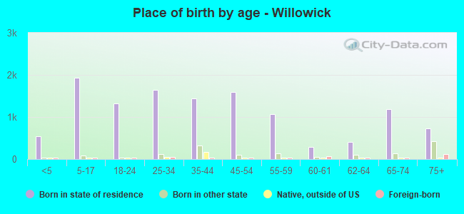 Place of birth by age -  Willowick