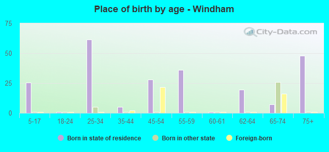 Place of birth by age -  Windham