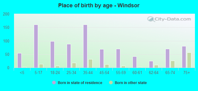 Place of birth by age -  Windsor